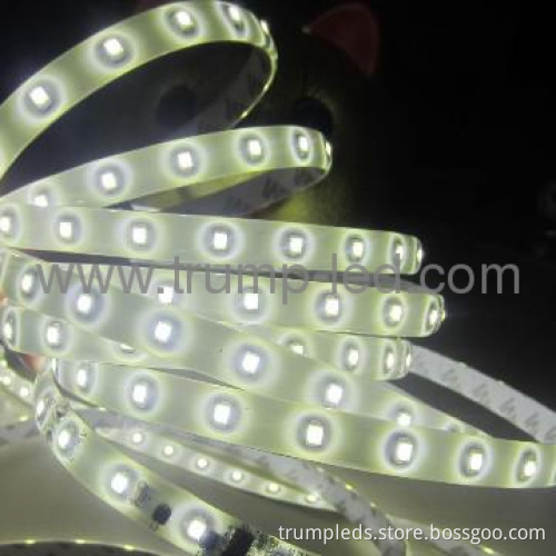 High quality low price 3528 36v low pressure smd led strip